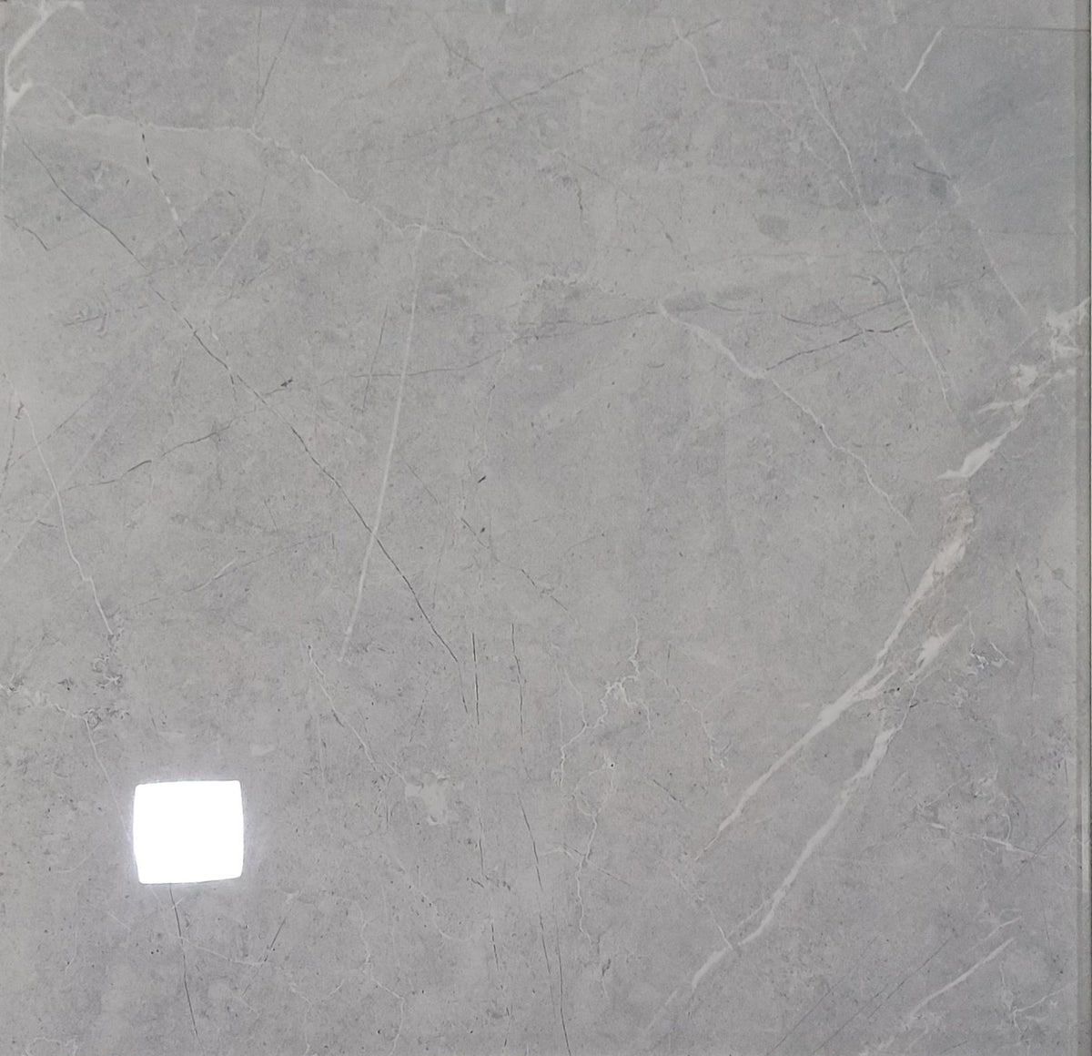PULPIS GRIS R4B12 POLISHED PORCELAIN 60X60 CM - AGL - 38 M2