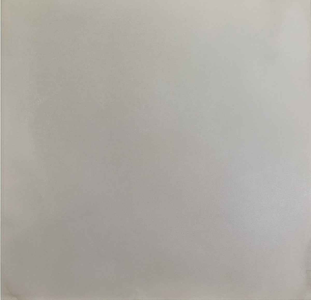 FACT 75B RM PORCELAIN 75X75 CM LEONARDO ITALY - 133 M2
