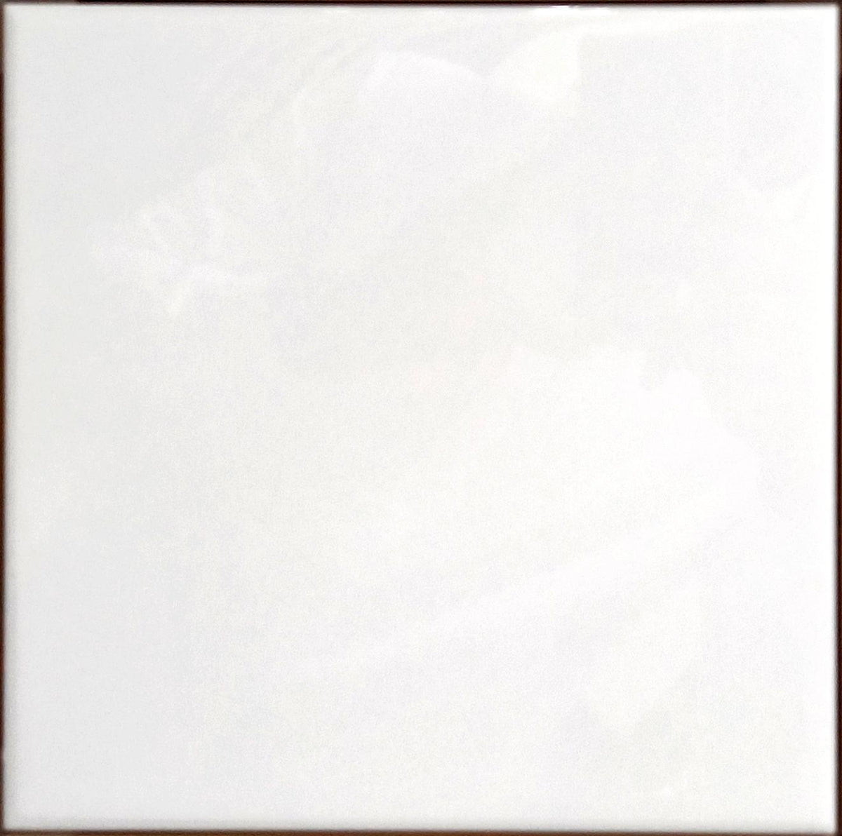 SNOW WHITE (PLAIN WHITE) GLOSSY 20X20CM - AGL - 4 M2
