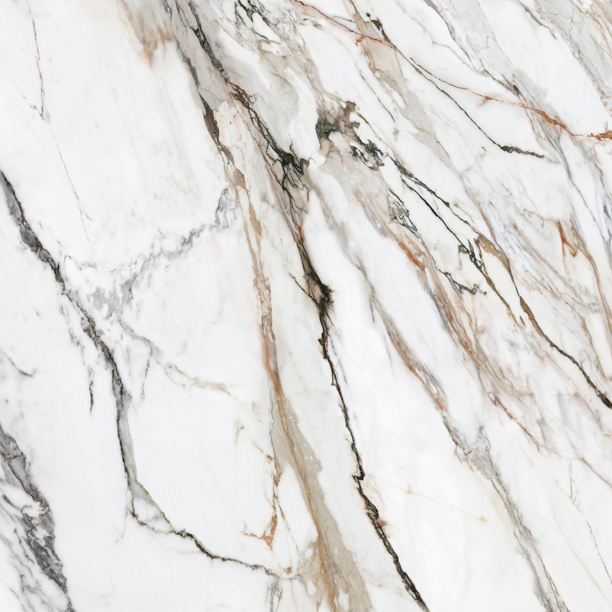 CALACATTA PAONAZZO MATT RECT. 59.5X59.5 CM - ITT SPAIN - 0 M2