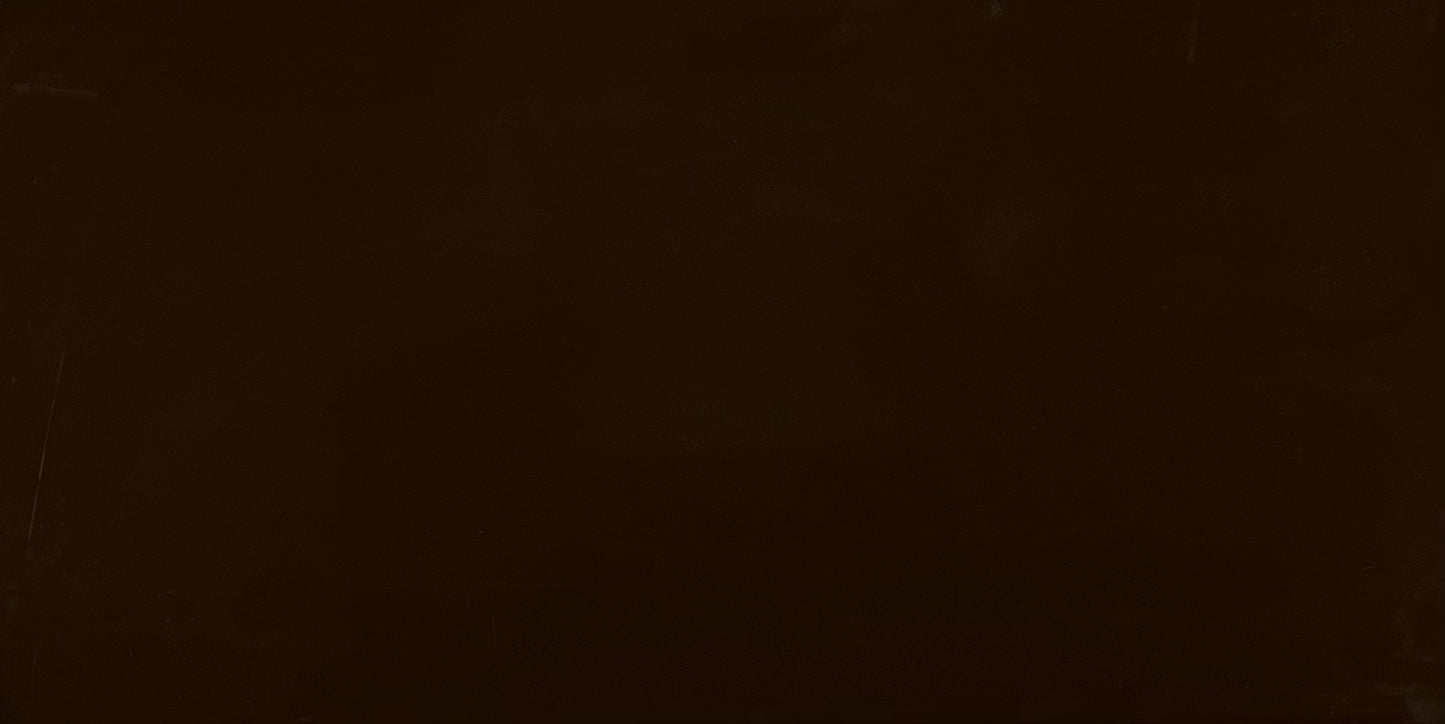 ELEGANCE 0 MKA WALL 31.6X59.34 CM ROCERSA SPAIN - 1 M2