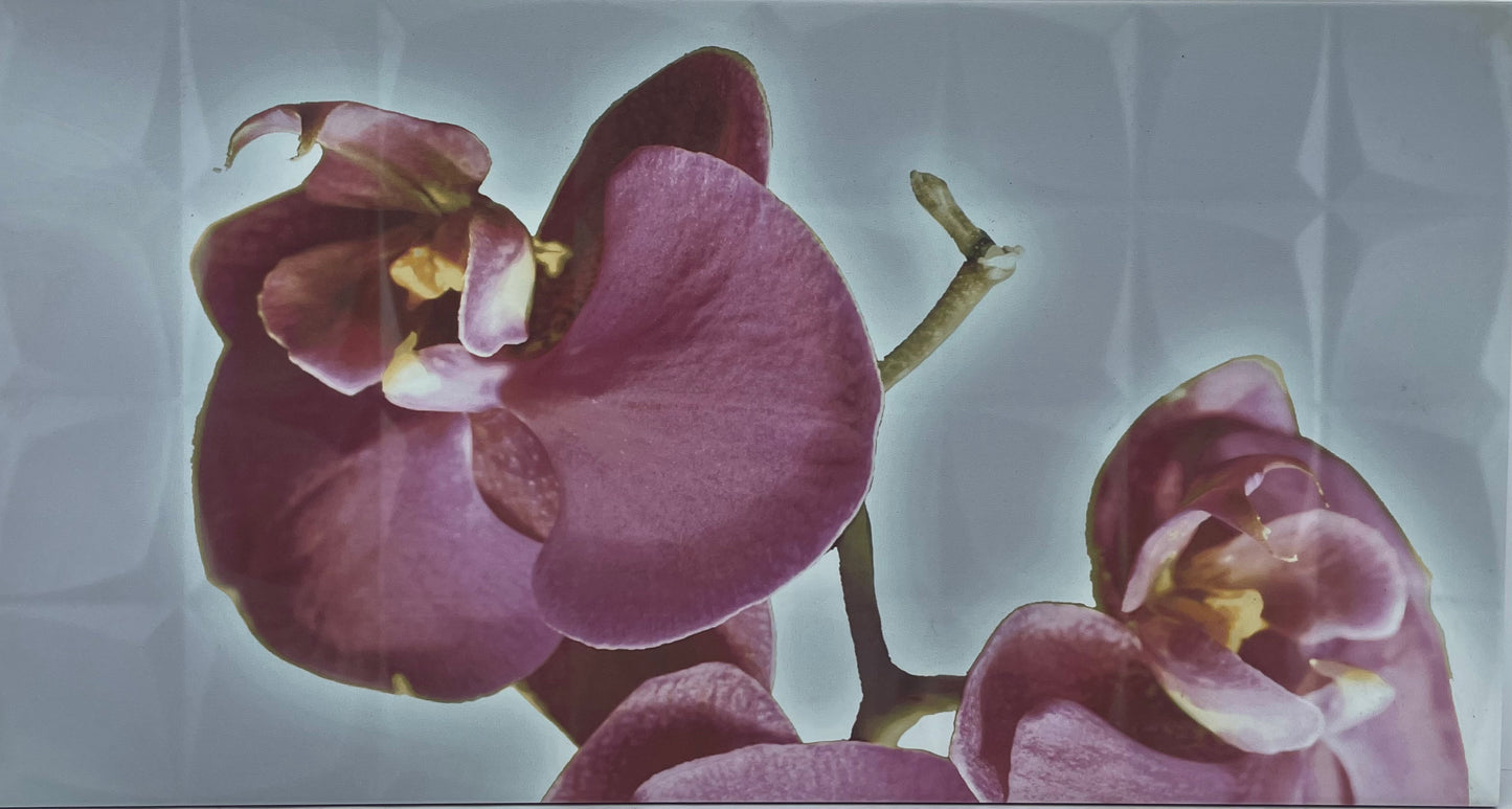 DE ORCHID C BLN DECOR WALL 31.6X59.34 CM ROCERSA SPAIN - 3 PCS