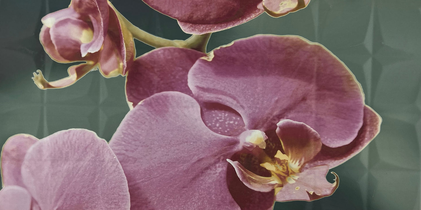 DE ORCHID B RSA DECOR 1PC 31.6X59.34 CM ROCERSA SPAIN - 11 PCS