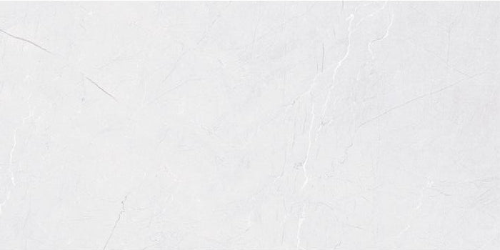 110101565900916 WT 590-10156,30X60X0.9 CM REC GLOSSY (L) - SAUDI CERAMICS - 642 M2