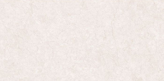 110101605900916 WT 590-10160,30X60X0.9 CM REC GLOSSY (L) - SAUDI CERAMICS - -320 M2
