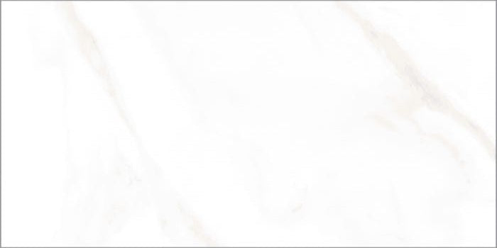 110139172511016 FT 251-13917, 60X120X1.0CM CERAMIC MATT L - SAUDI CERAMICS - 3737 M2