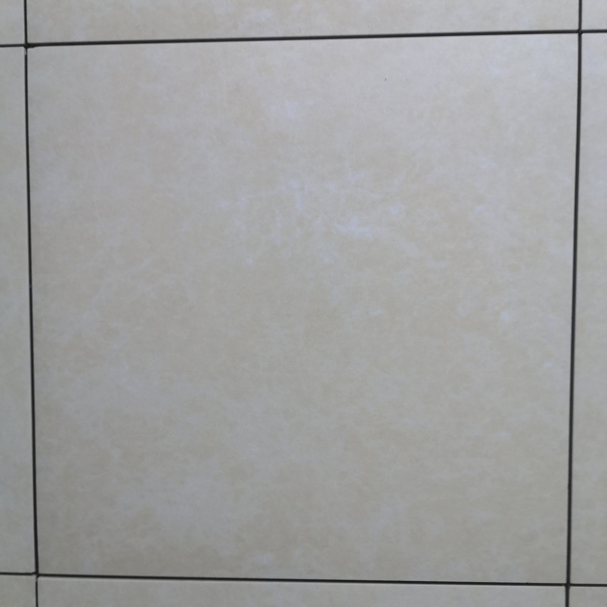 ROYAL WHITE 300X300 MM TYPE TL-06 56-1ENV-822 - 0 M2