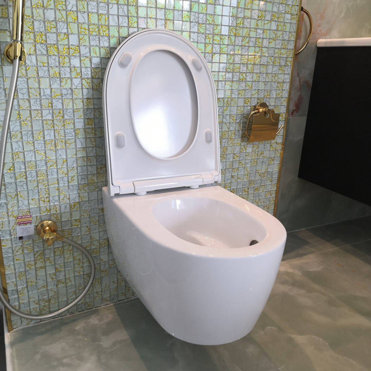 500.201.01.1 ONE SET OF WALL-HUNG WC WITH SEAT COVER - GEBERIT - 2 PCS