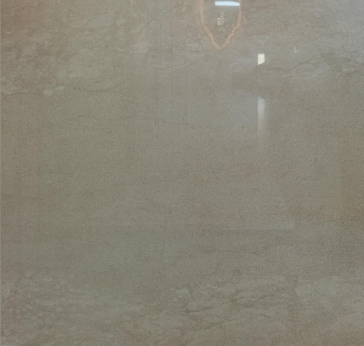 TE 01 SHINE PLUS 78X78 CM-DELCONCA ITALY - 195 M2