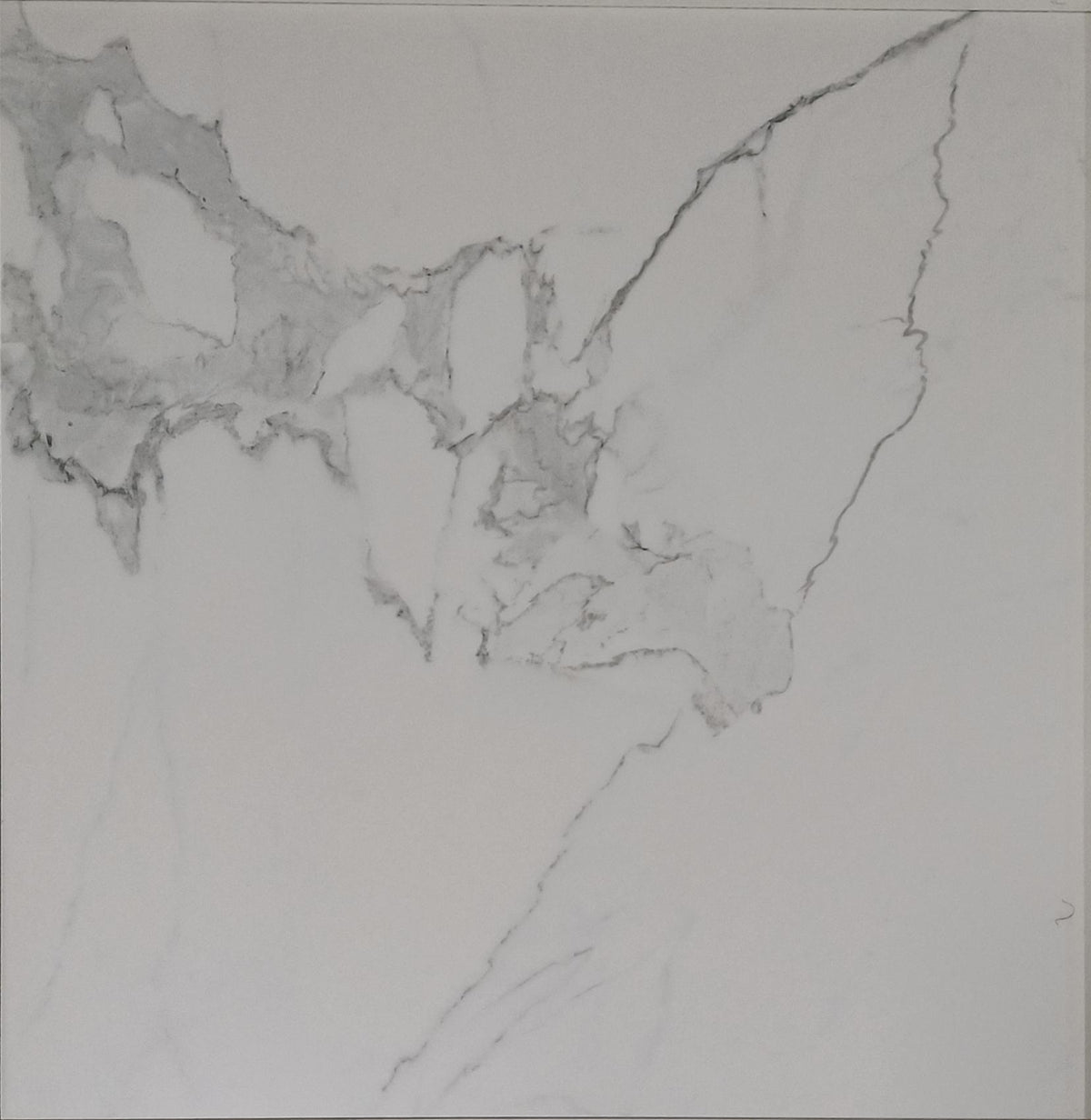 AEON CALACATTA NAT RET (761578 ACN) PORCELAIN 60X60 CM - NITCO ITALY - 42 M2
