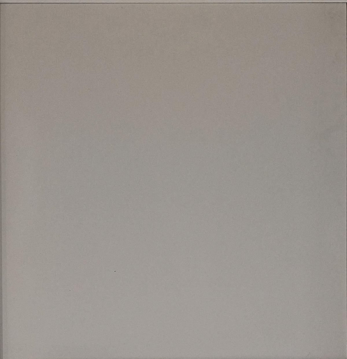 VEGA TUSK PORCELAIN 60X60 CM NITCO INDIA - 216 M2