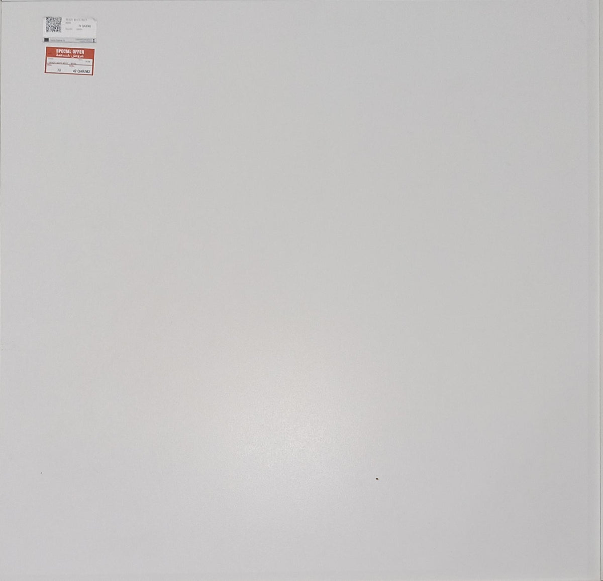 RENZO WHITE RECT PORCELAIN 60X60 CM - AZULFER SPAIN - 90 M2