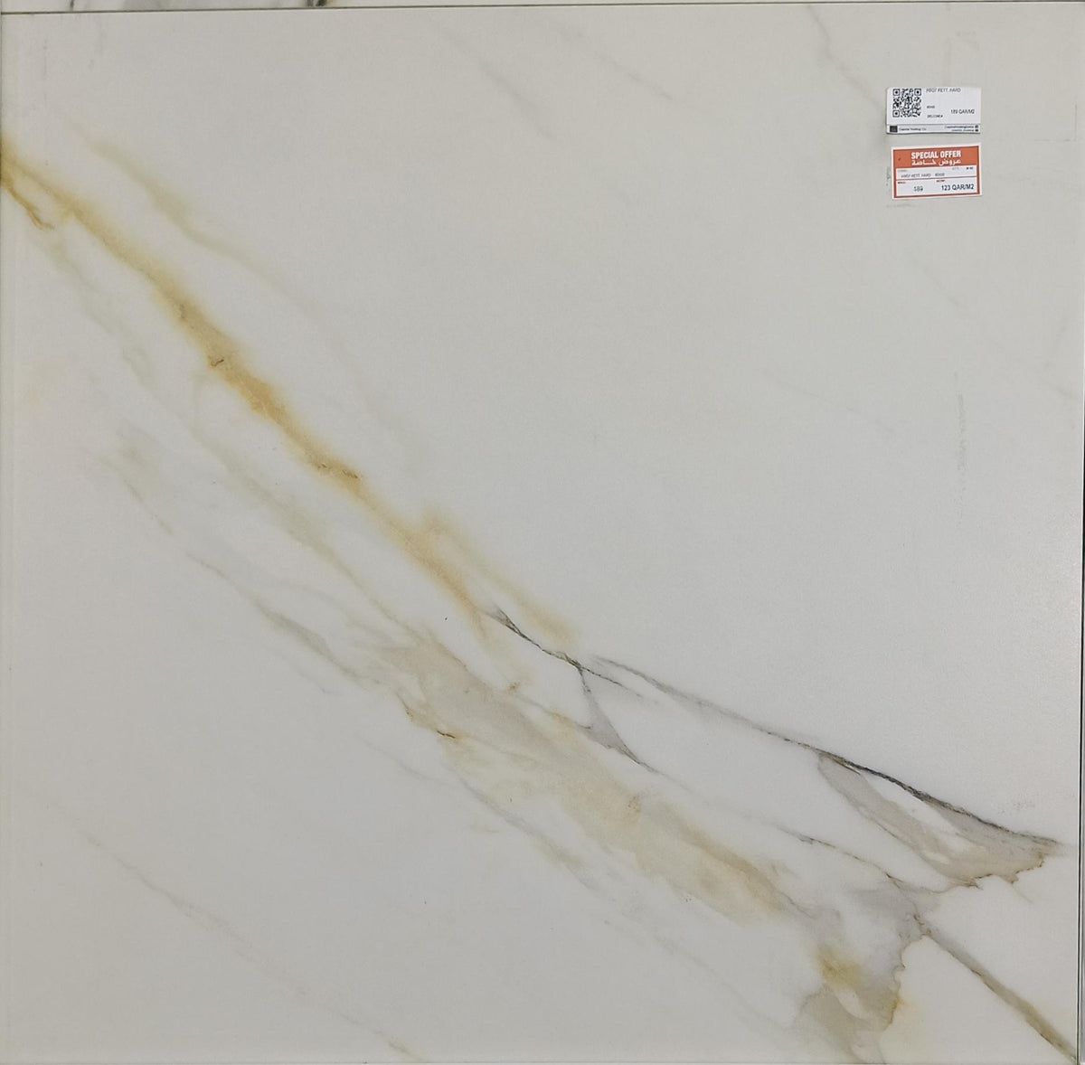 HBO7 RETT. HARD PORCELAIN 60X60 CM DELCONCA ITALY - 19 M2