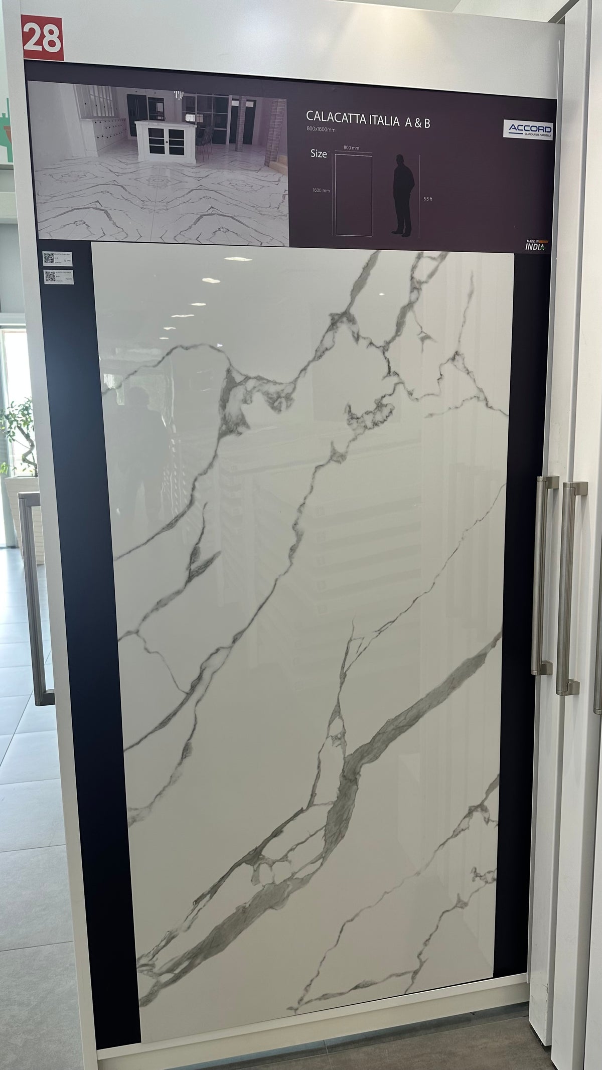 CALACATTA ITALIA-A HIGH GLOSSY 80X160 CM - ACCORD INDIA - 12 M2