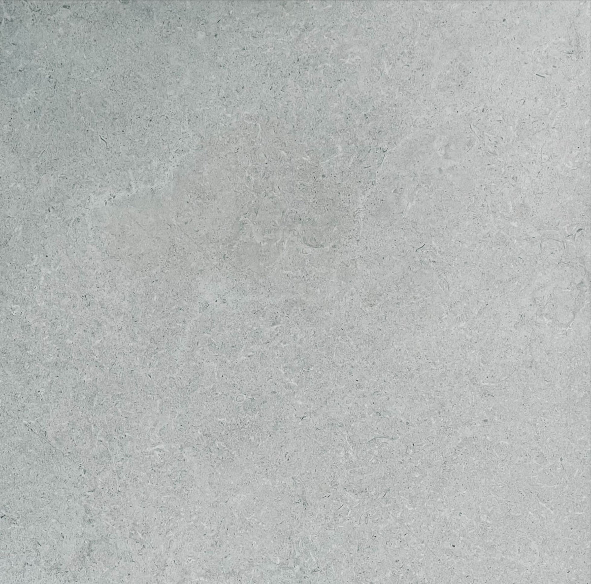 LIMESTONE LIGHT GREY PORCELAIN 60X60CM - Q CERAMIC - 21 M2