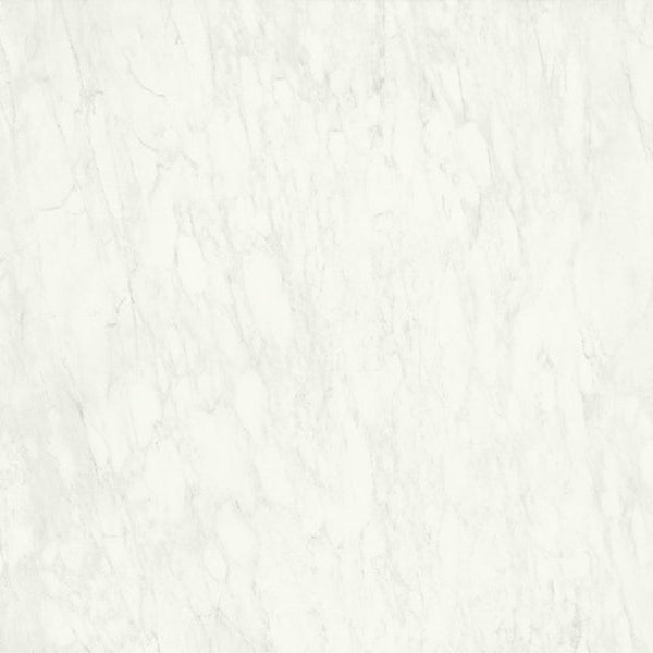 CARRARA DELICATO FULL LAPPATO 119.8X119.8 - NEXION - 58 M2