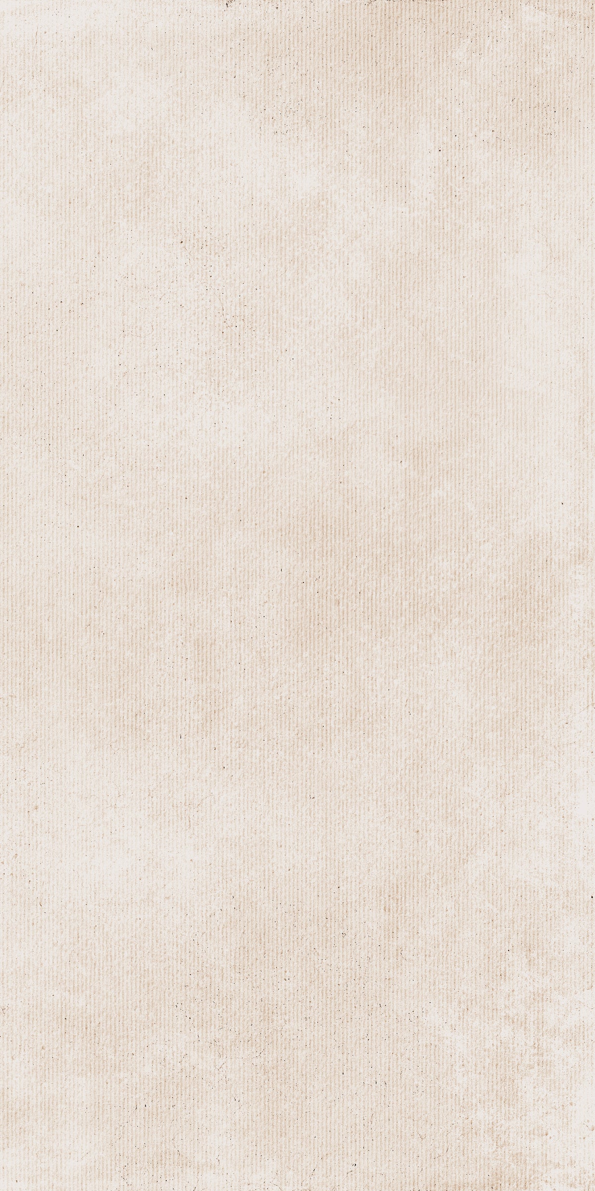 M.RIGHE CONTIN.WHITE(T) 61X122.2CM - TUSCANIA ITALY - 54 M2
