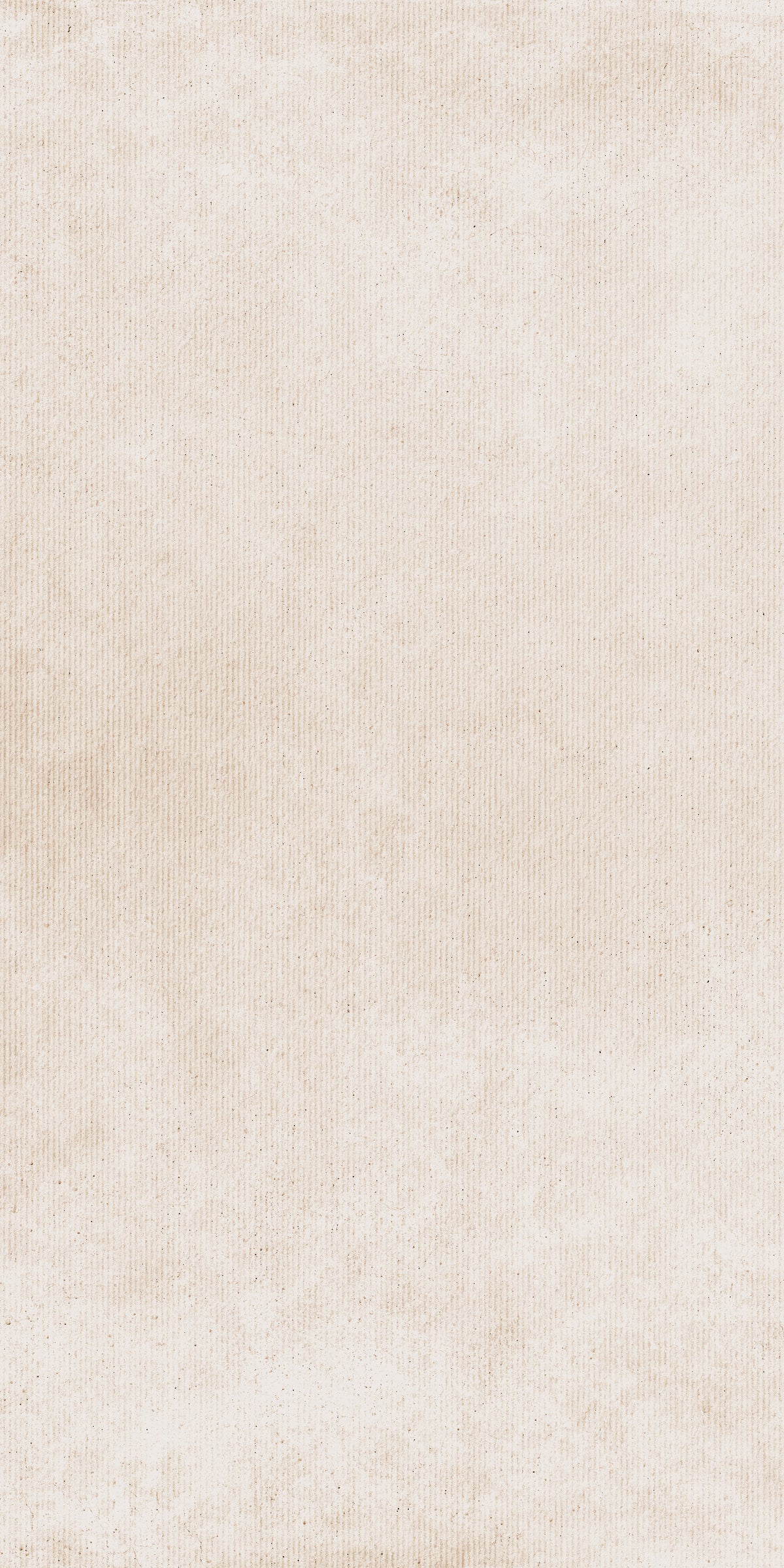 M.RIGHE CONTIN.WHITE(T) 61X122.2CM - TUSCANIA ITALY - 54 M2