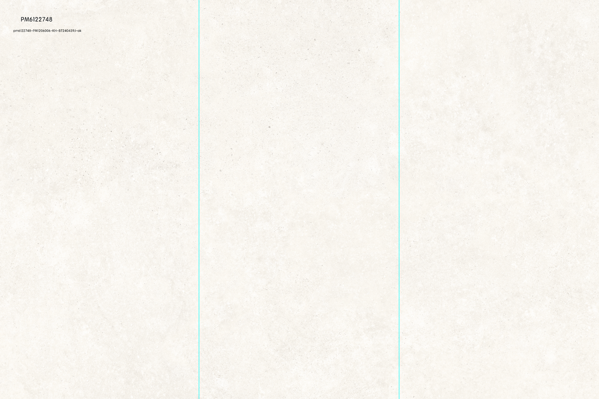 PM6122748 PORCELAIN MATT 60X120CM - WANGKANG KSA - 1481 M2