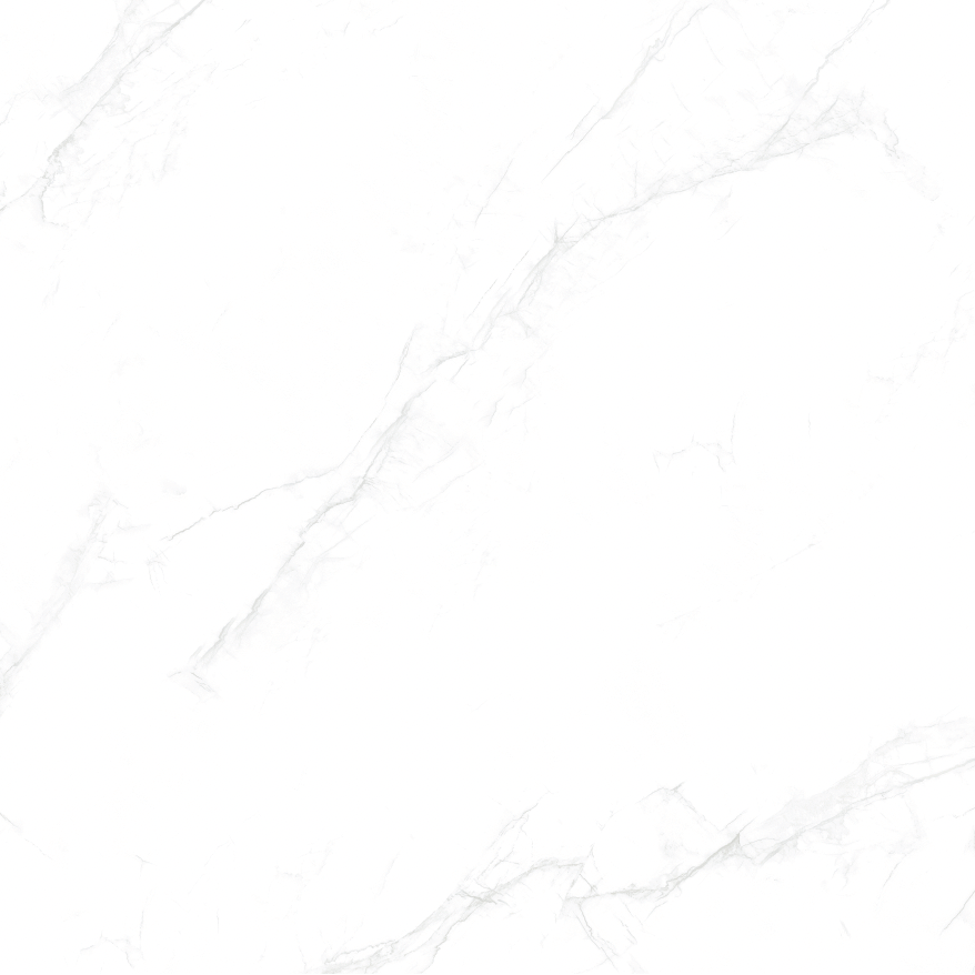 PM664239 PORCELAIN MATT 60X60 CM - WANGKANG KSA - 2039 M2