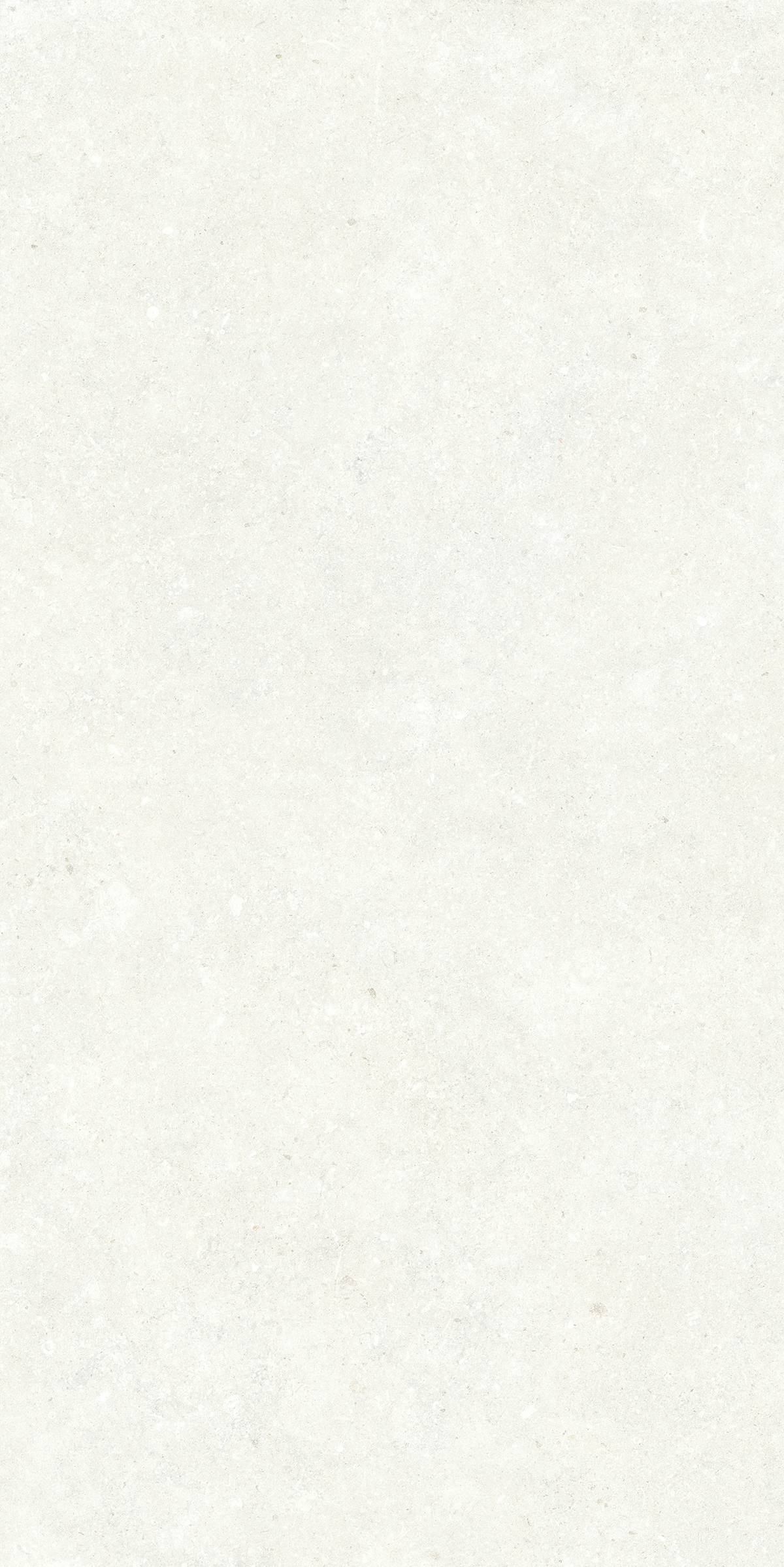P.E. SUNTA BONE MT RECT. PORCELAIN 60X120CM - KTL SPAIN - 1079 M2