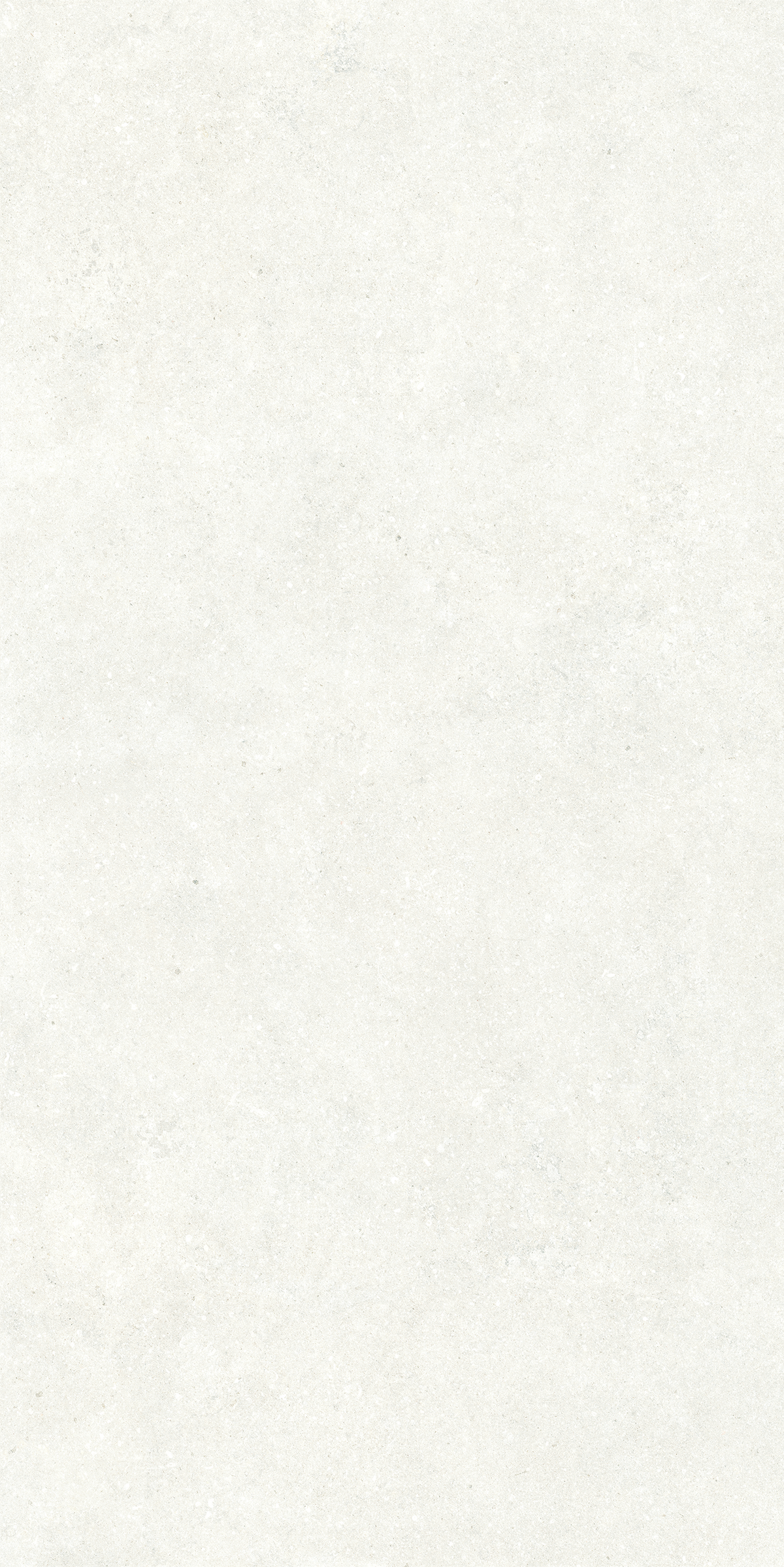 P.E. SUNTA BONE MT RECT. PORCELAIN 60X120CM - KTL SPAIN - 1079 M2