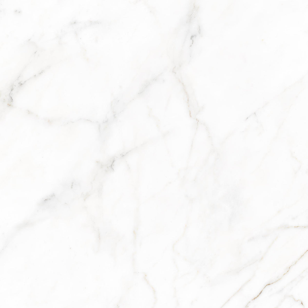 PRESTIGE WHITE MATT RECT. 60X60 CM - ITT SPAIN - 0 M2