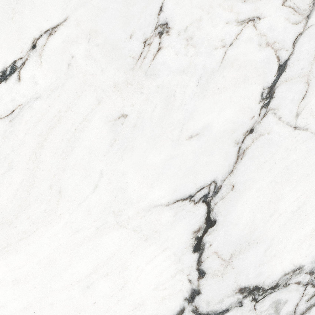 CALACATTA BLACK RECT. MATT 60X60CM - ITT SPAIN - 53 M2