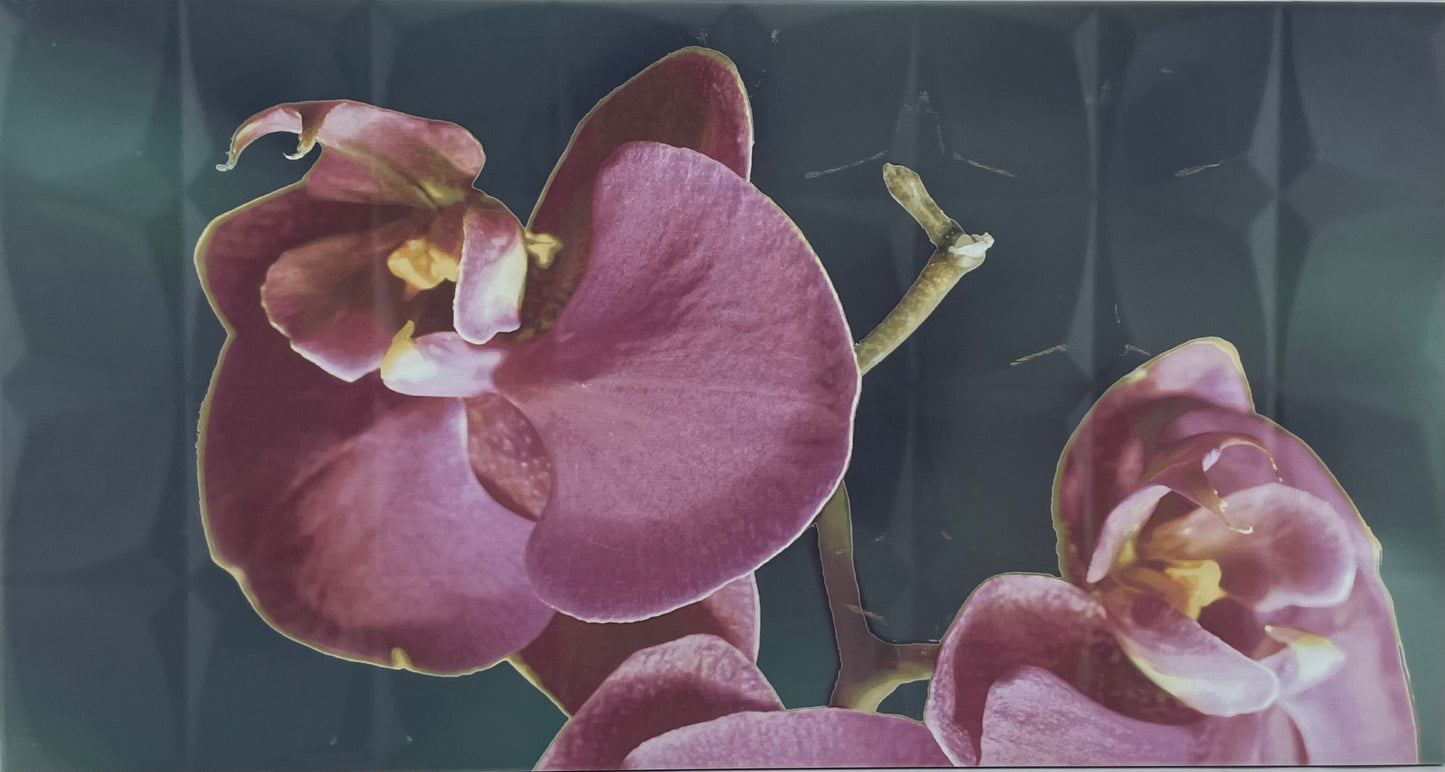 DE ORCHID C RSA DECOR 1PC 31.6X59.34 CM ROCERSA SPAIN - 11 PCS